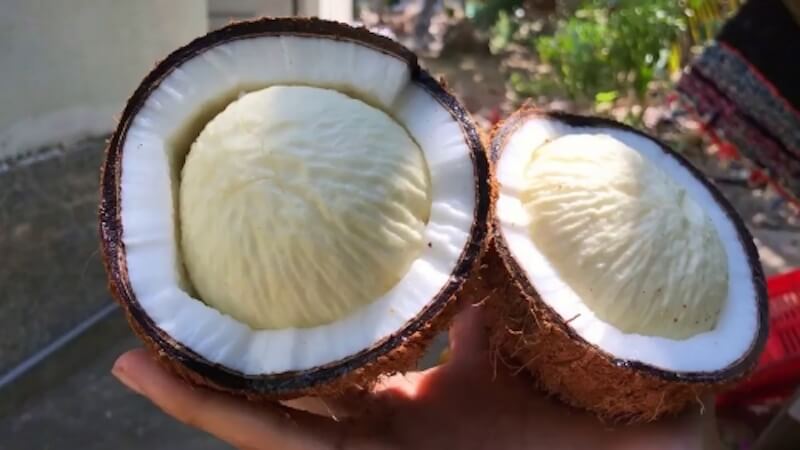 Mộng dừa còn được nhiều người gọi là mầm dừa