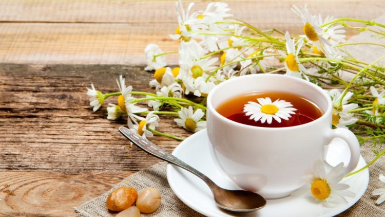 Cách làm trà hoa cúc chuẩn vị nhâm nhi vào mỗi sáng