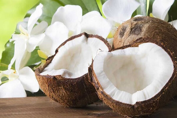 Quả dừa: Nguồn gốc – Tiêu thụ – Thành phần dinh dưỡng – Lợi ích sức khỏe