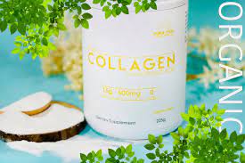 Collagen Pura Vida (dạng bột)